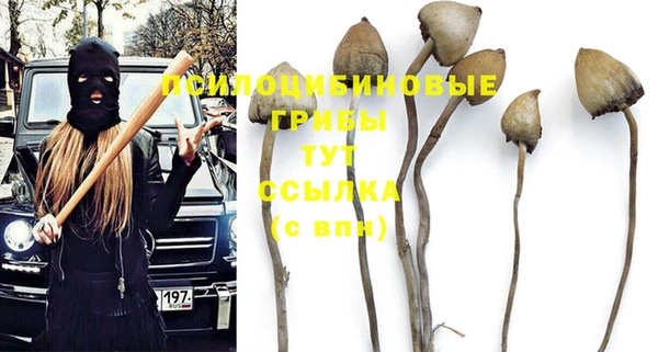 хмурый Абинск